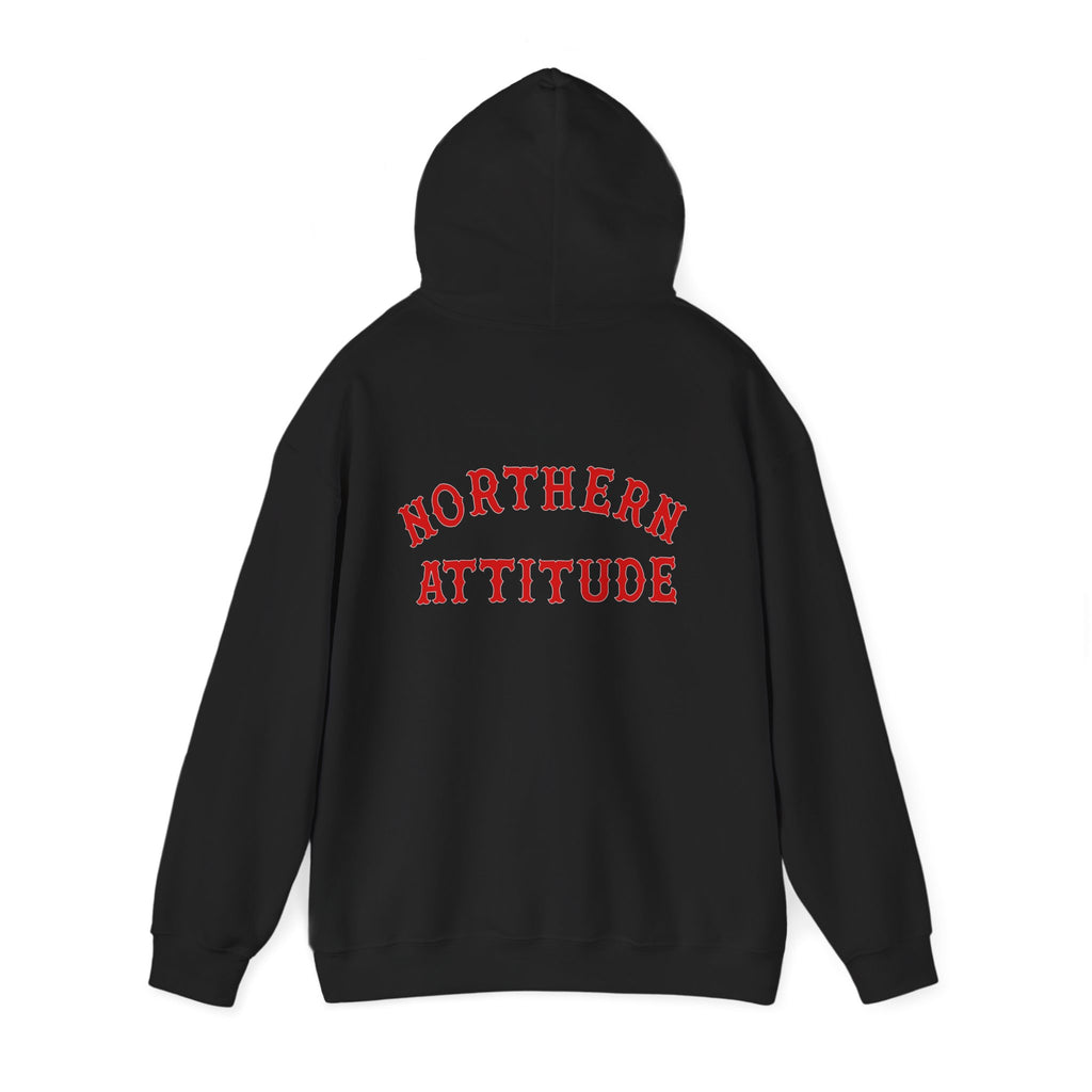 Northern Attitude Fenway New England Funny Humor Double-Sided Adult Hoodie Original Hand Drawn Sweatshirt