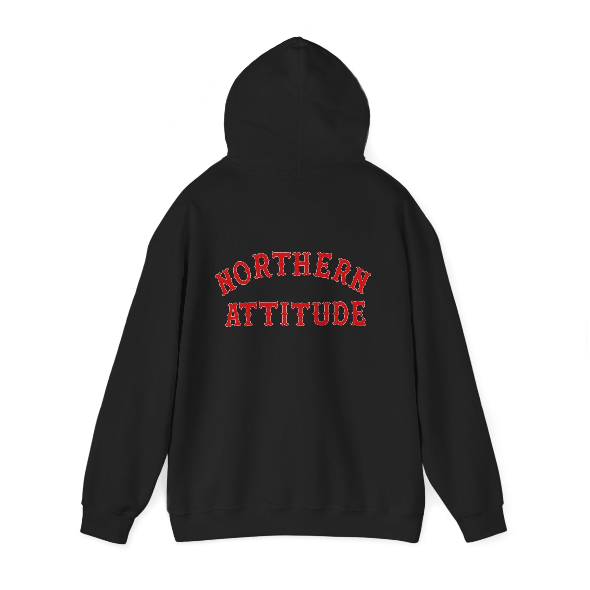 Northern Attitude Fenway New England Funny Humor Double-Sided Adult Hoodie Original Hand Drawn Sweatshirt