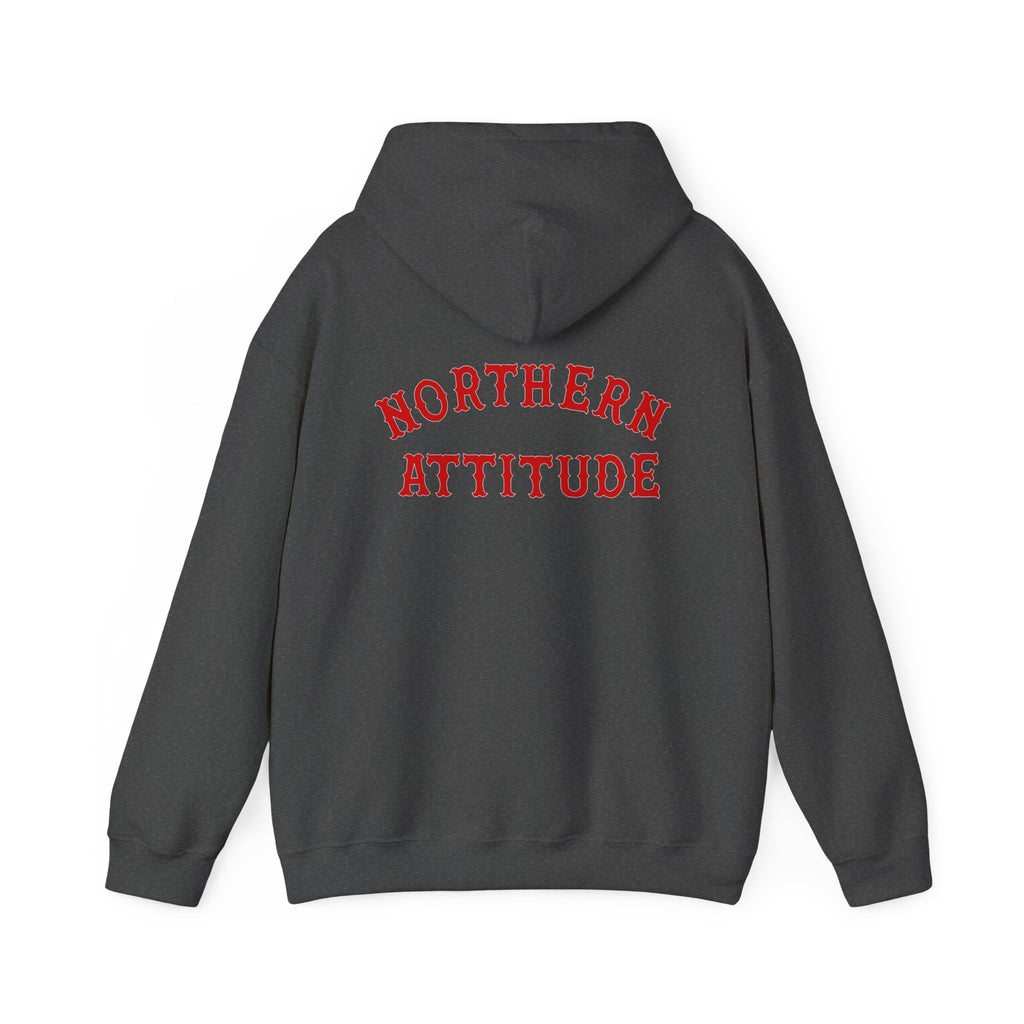 Northern Attitude Fenway New England Funny Humor Double-Sided Adult Hoodie Original Hand Drawn Sweatshirt