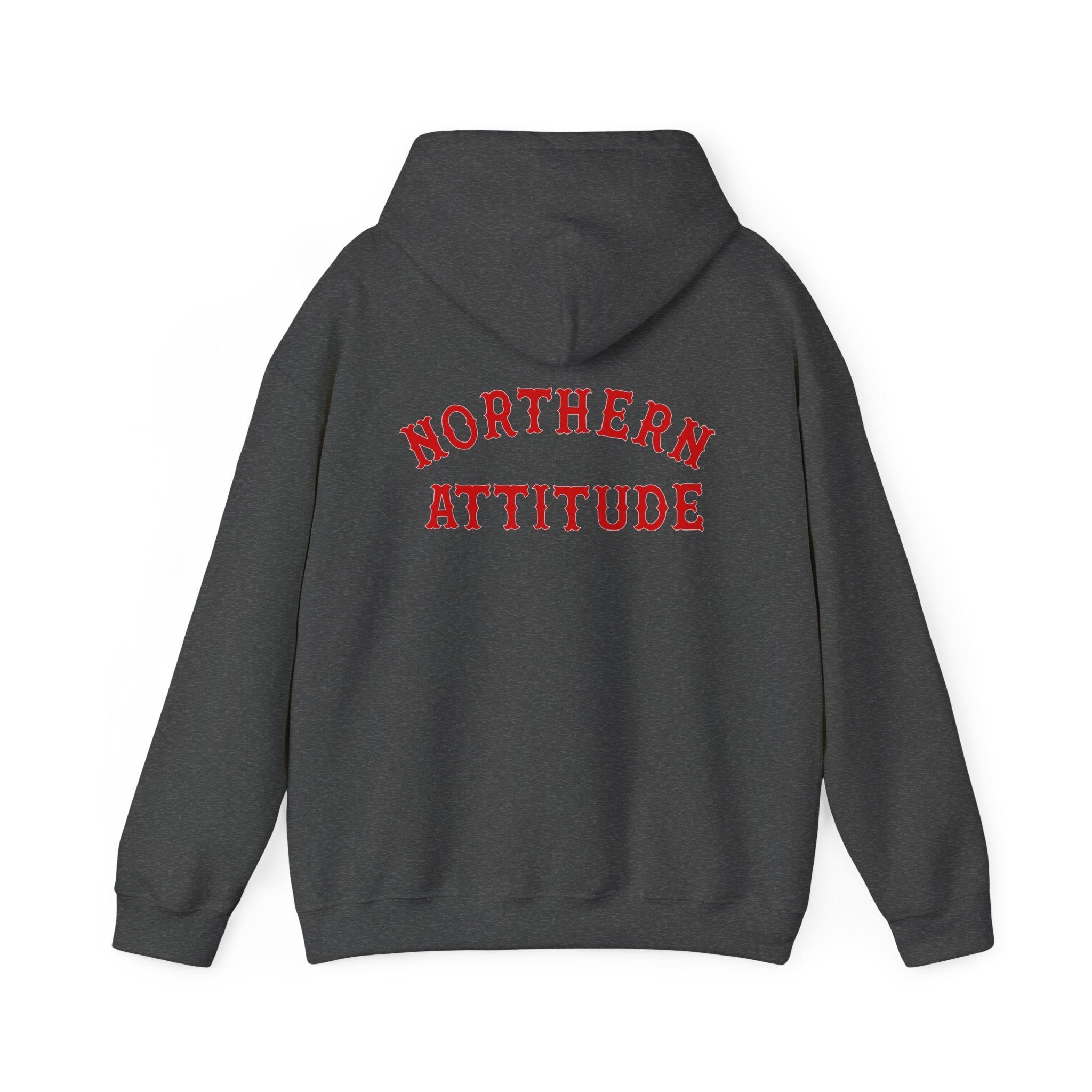 Northern Attitude Fenway New England Funny Humor Double-Sided Adult Hoodie Original Hand Drawn Sweatshirt