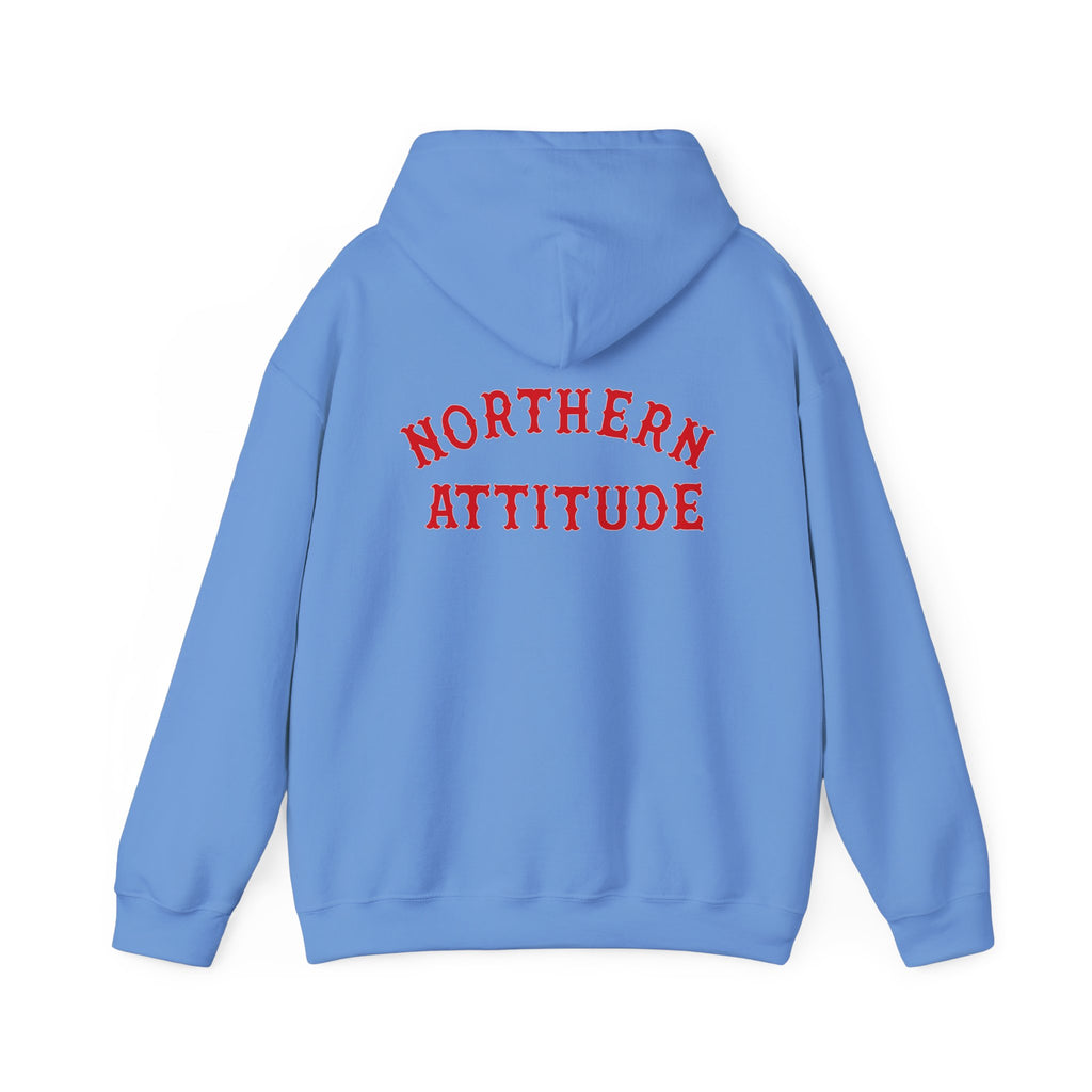 Northern Attitude Fenway New England Funny Humor Double-Sided Adult Hoodie Original Hand Drawn Sweatshirt
