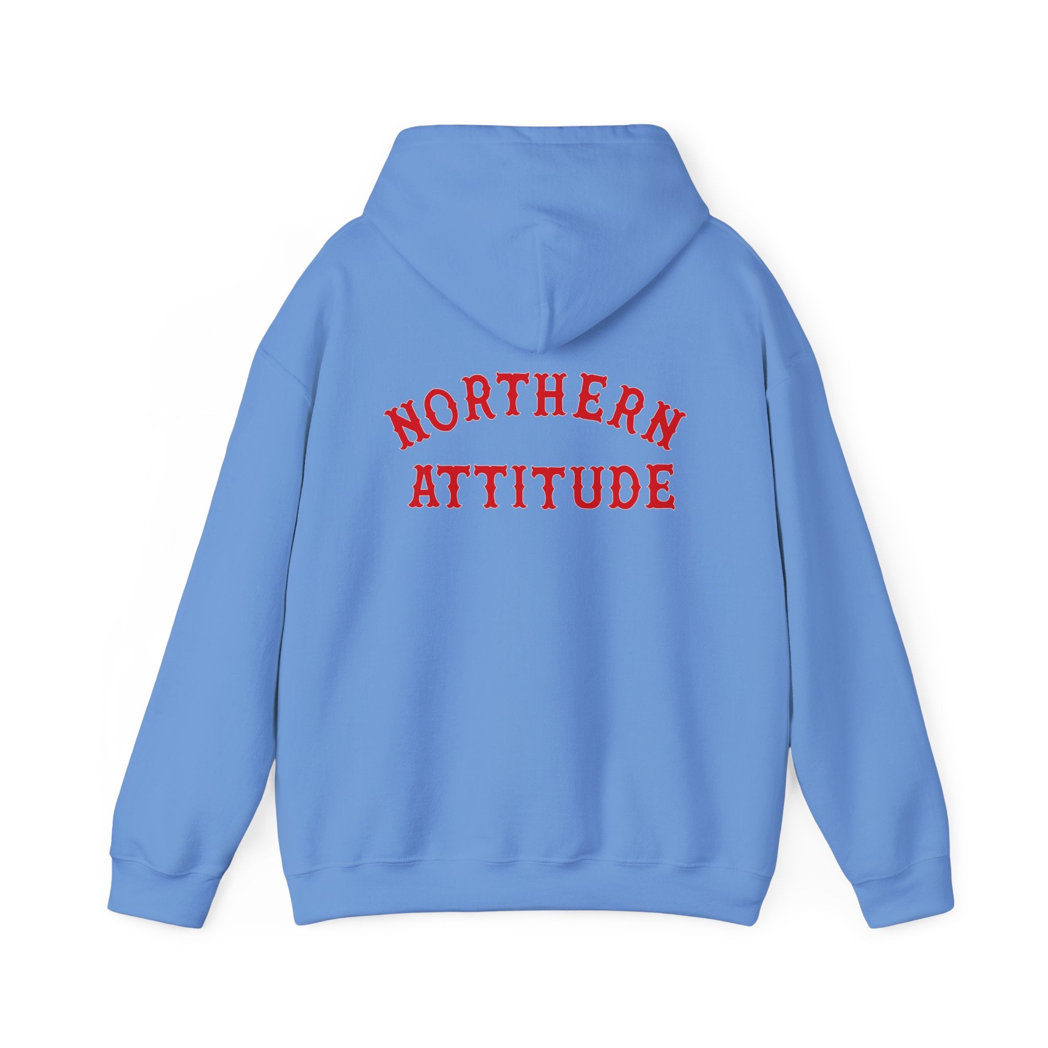 Northern Attitude Fenway New England Funny Humor Double-Sided Adult Hoodie Original Hand Drawn Sweatshirt