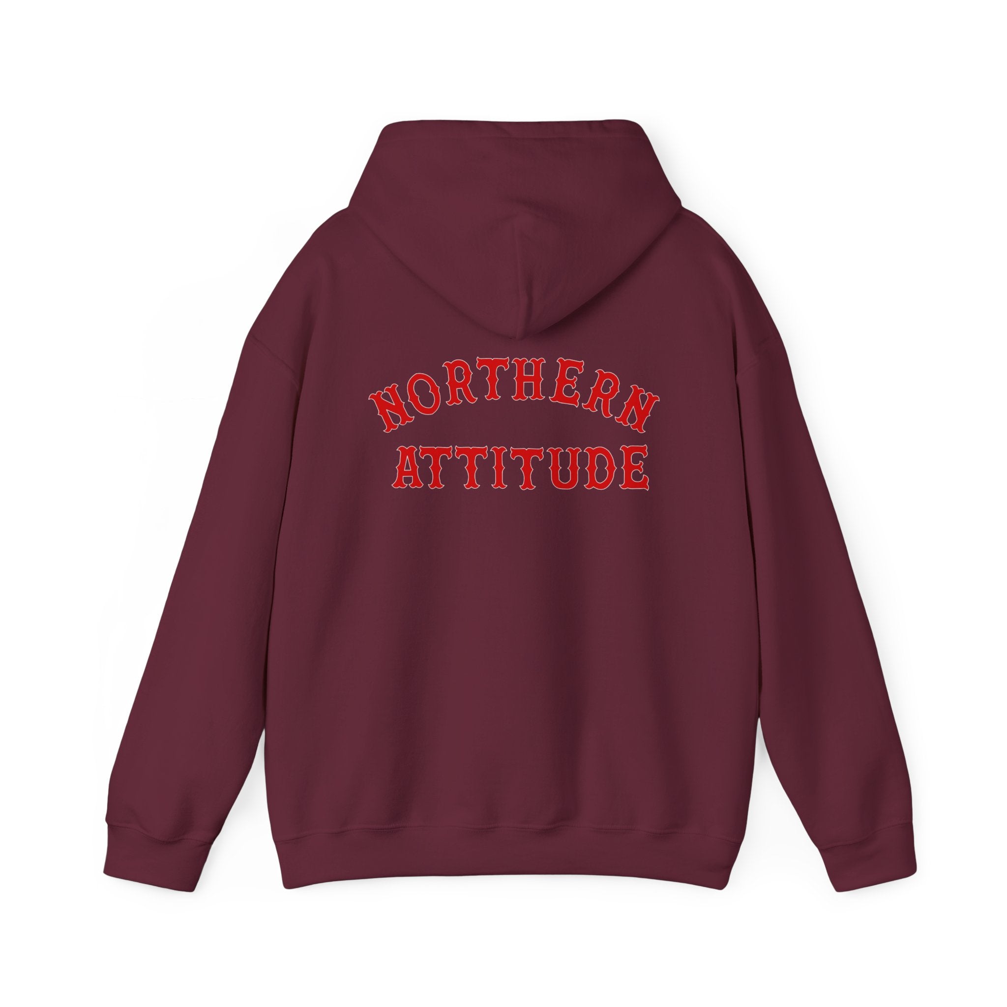 Northern Attitude Fenway New England Funny Humor Double-Sided Adult Hoodie Original Hand Drawn Sweatshirt