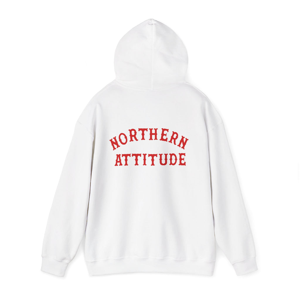 Northern Attitude Fenway New England Funny Humor Double-Sided Adult Hoodie Original Hand Drawn Sweatshirt