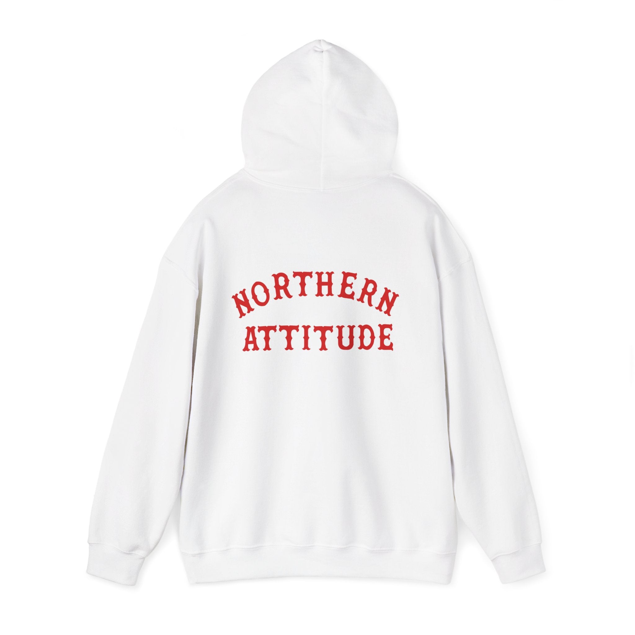 Northern Attitude Fenway New England Funny Humor Double-Sided Adult Hoodie Original Hand Drawn Sweatshirt
