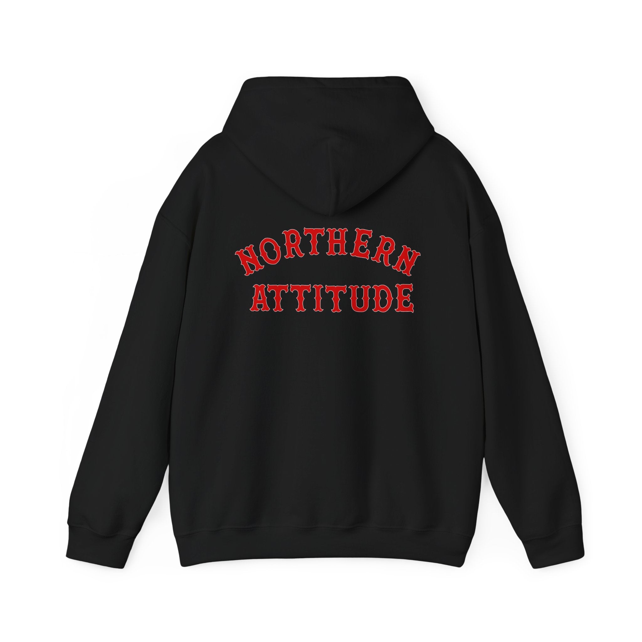 Northern Attitude Fenway New England Funny Humor Double-Sided Adult Hoodie Original Hand Drawn Sweatshirt