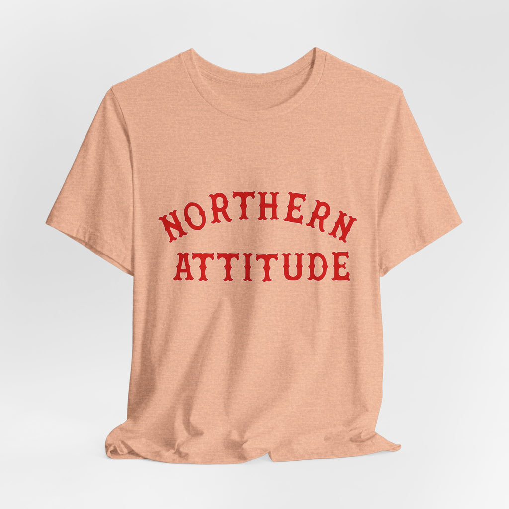 Northerners Attitude - I'm Mean Because I Grew Up in New England Funny Humor Tshirt Original Hand Drawn Tee