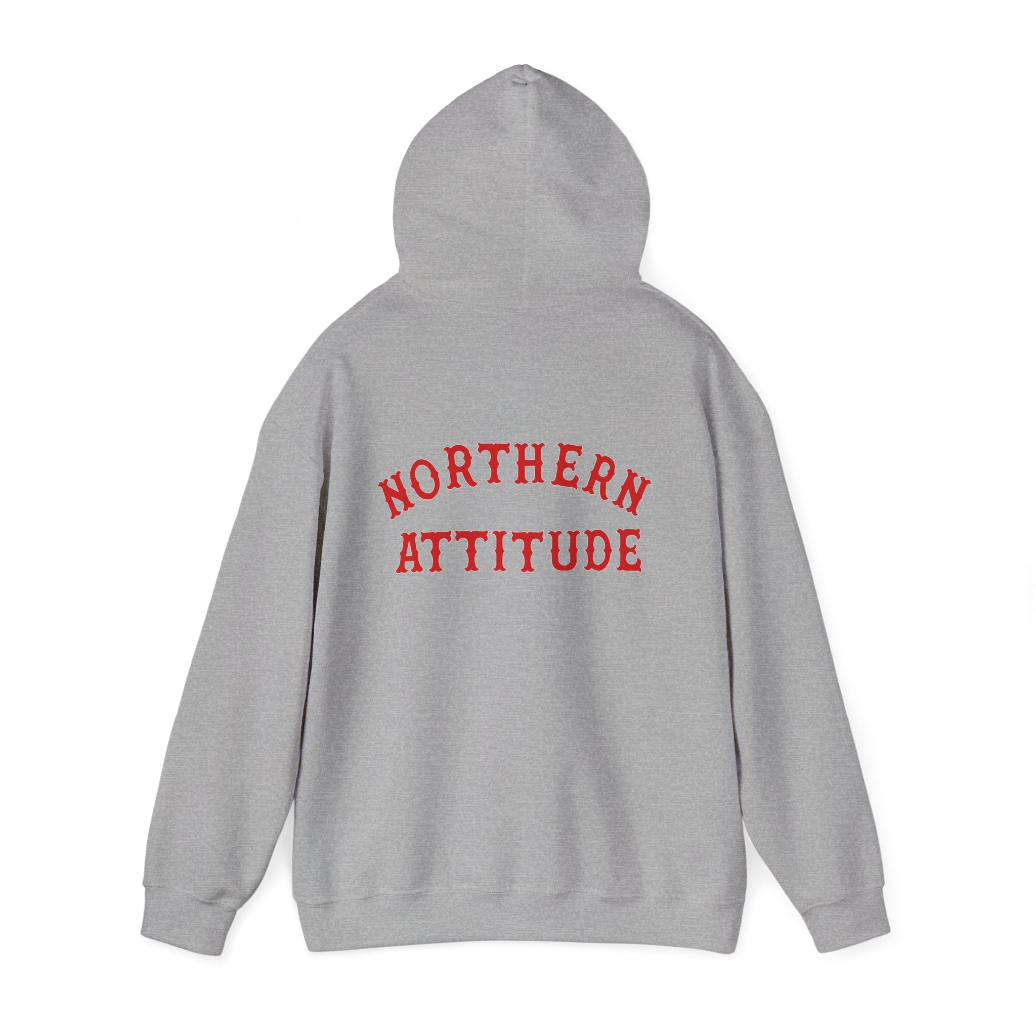Northern Attitude Fenway New England Funny Humor Double-Sided Adult Hoodie Original Hand Drawn Sweatshirt