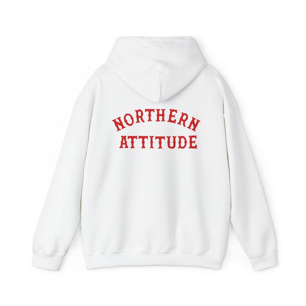 Northern Attitude Fenway New England Funny Humor Double-Sided Adult Hoodie Original Hand Drawn Sweatshirt