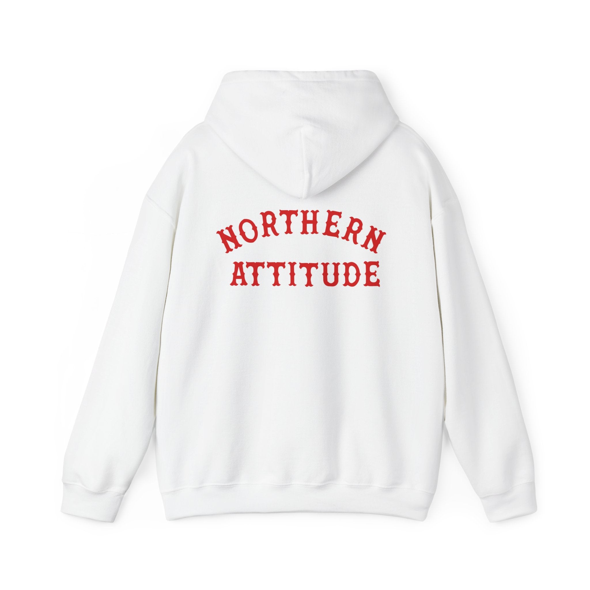 Northern Attitude Fenway New England Funny Humor Double-Sided Adult Hoodie Original Hand Drawn Sweatshirt