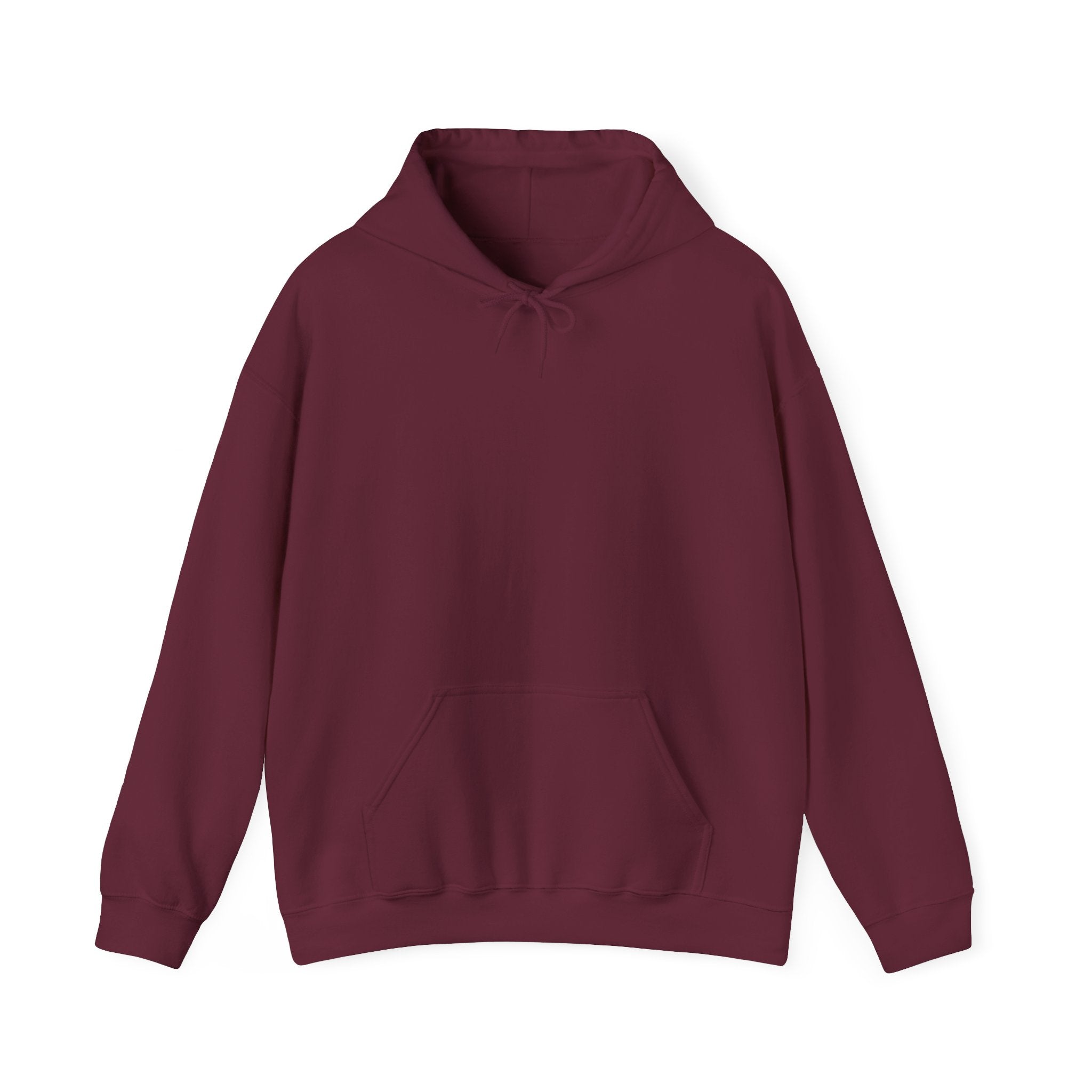 Northern Attitude New England Funny Humor Hoodie Original Hand Drawn Sweatshirt