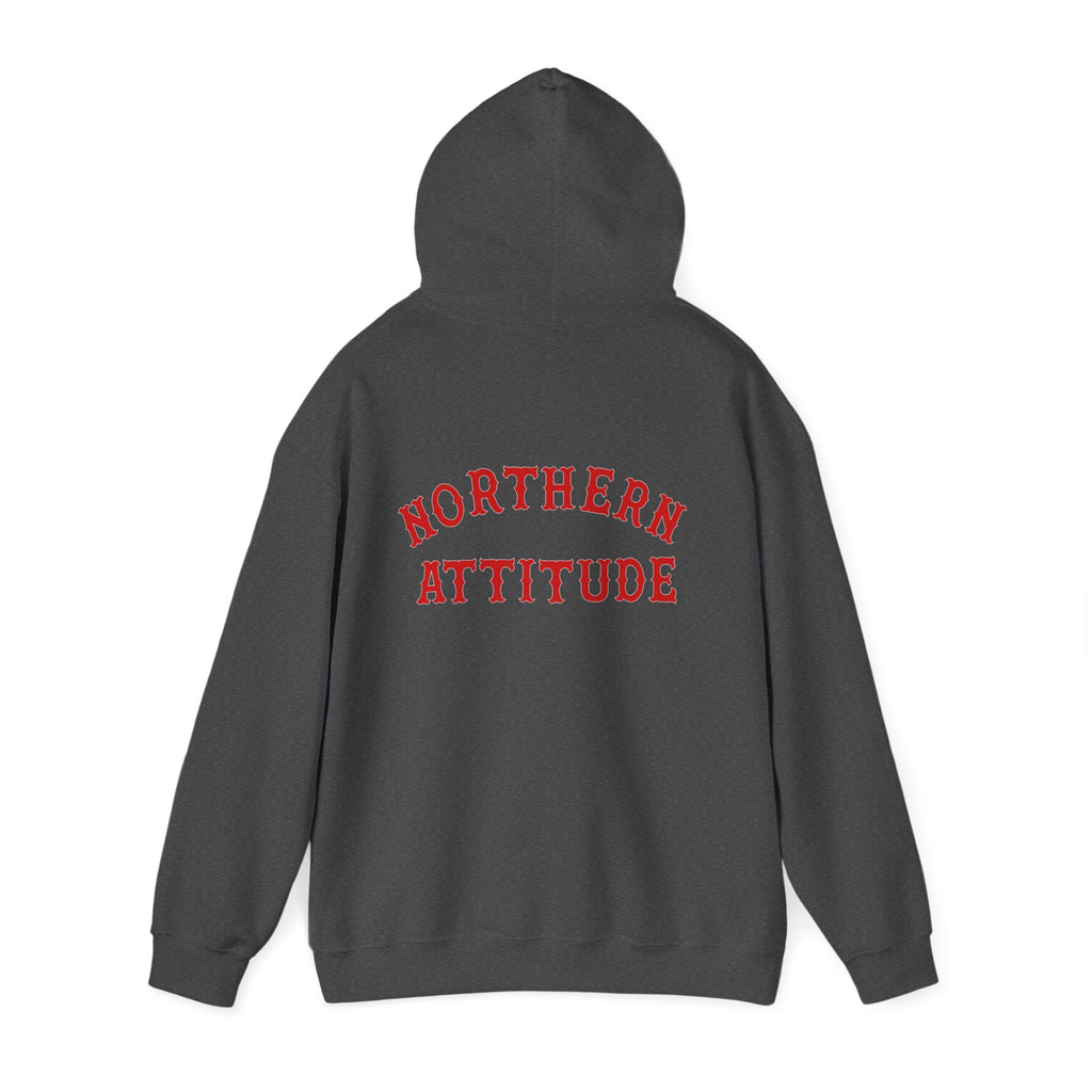 Northern Attitude Fenway New England Funny Humor Double-Sided Adult Hoodie Original Hand Drawn Sweatshirt