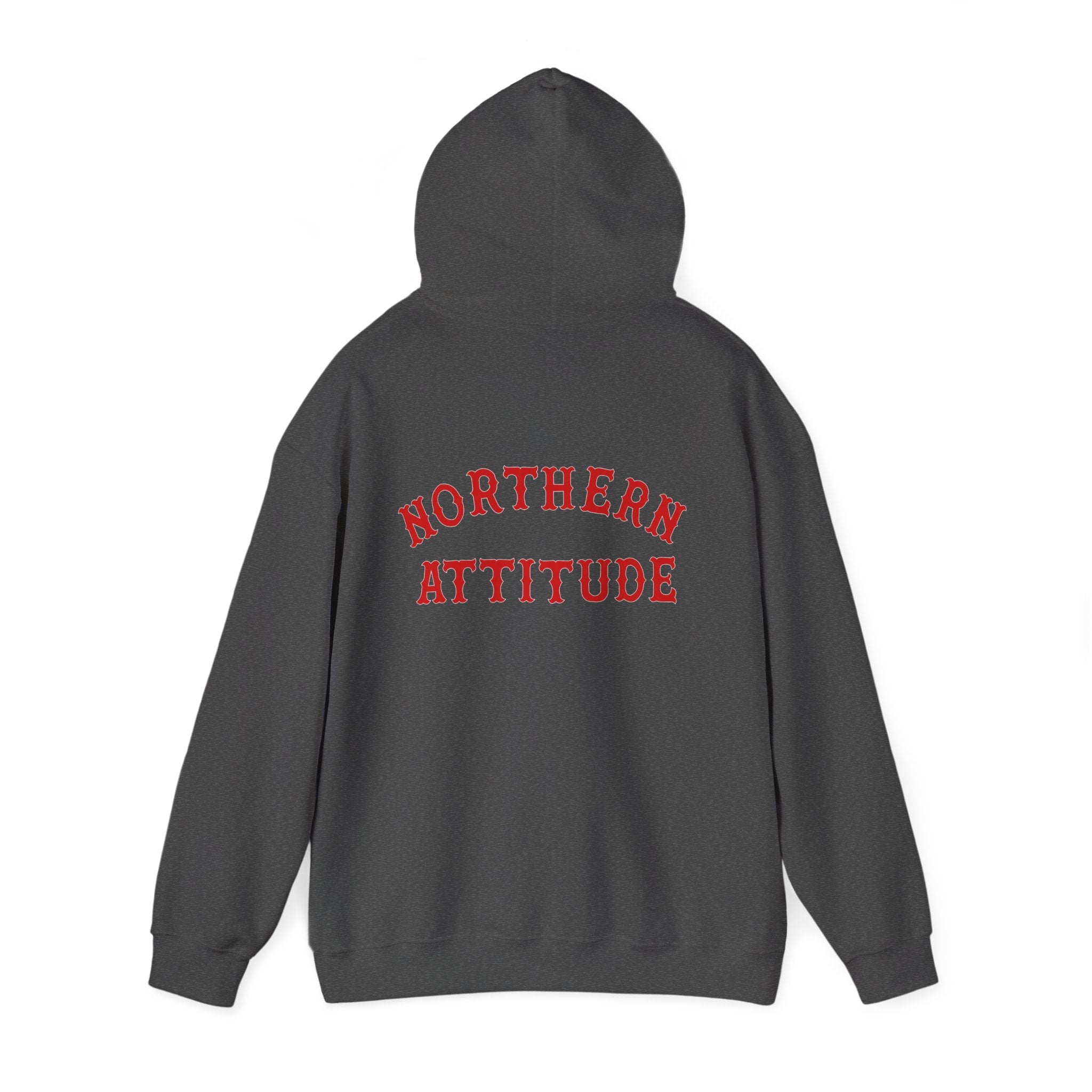 Northern Attitude Fenway New England Funny Humor Double-Sided Adult Hoodie Original Hand Drawn Sweatshirt