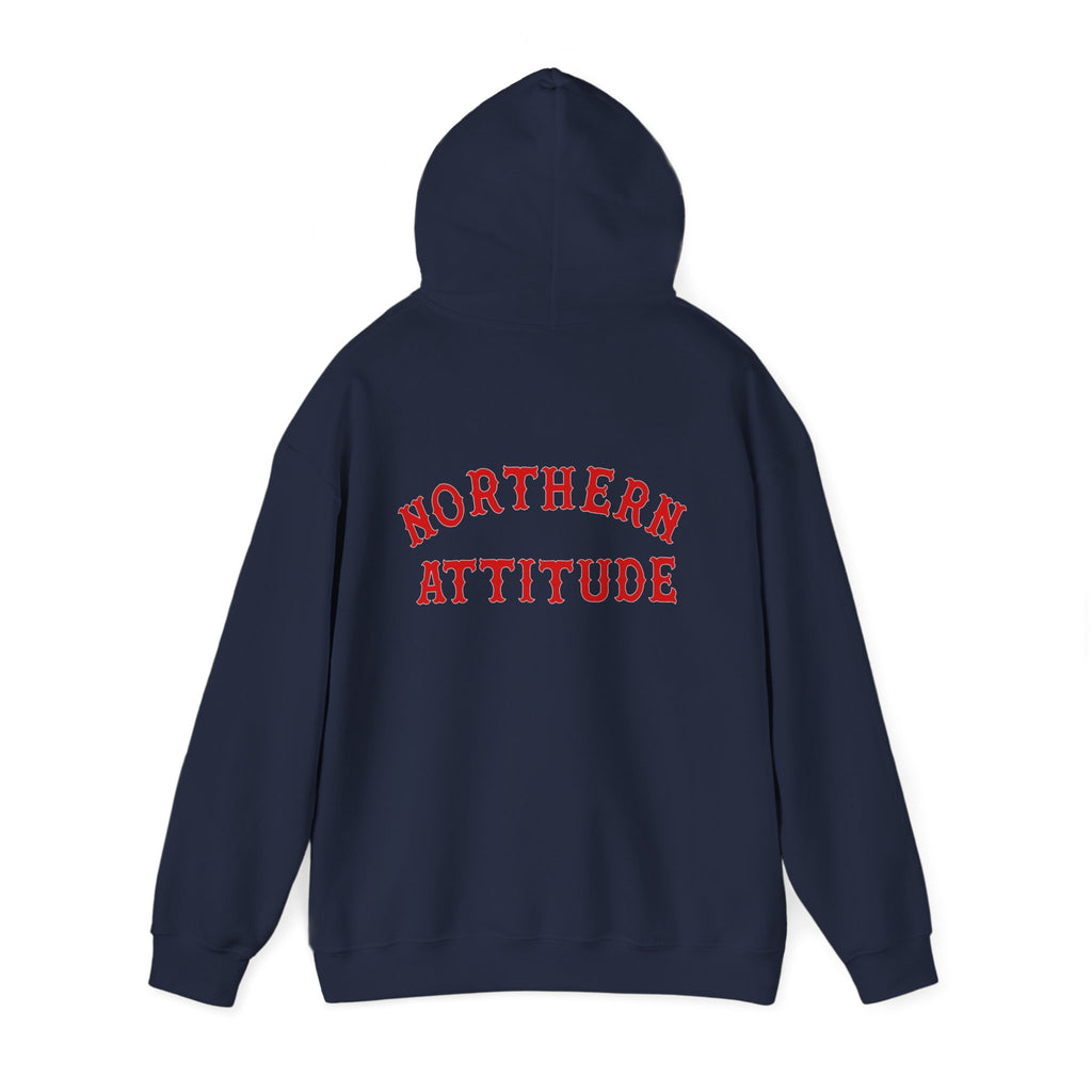 Northern Attitude Fenway New England Funny Humor Double-Sided Adult Hoodie Original Hand Drawn Sweatshirt