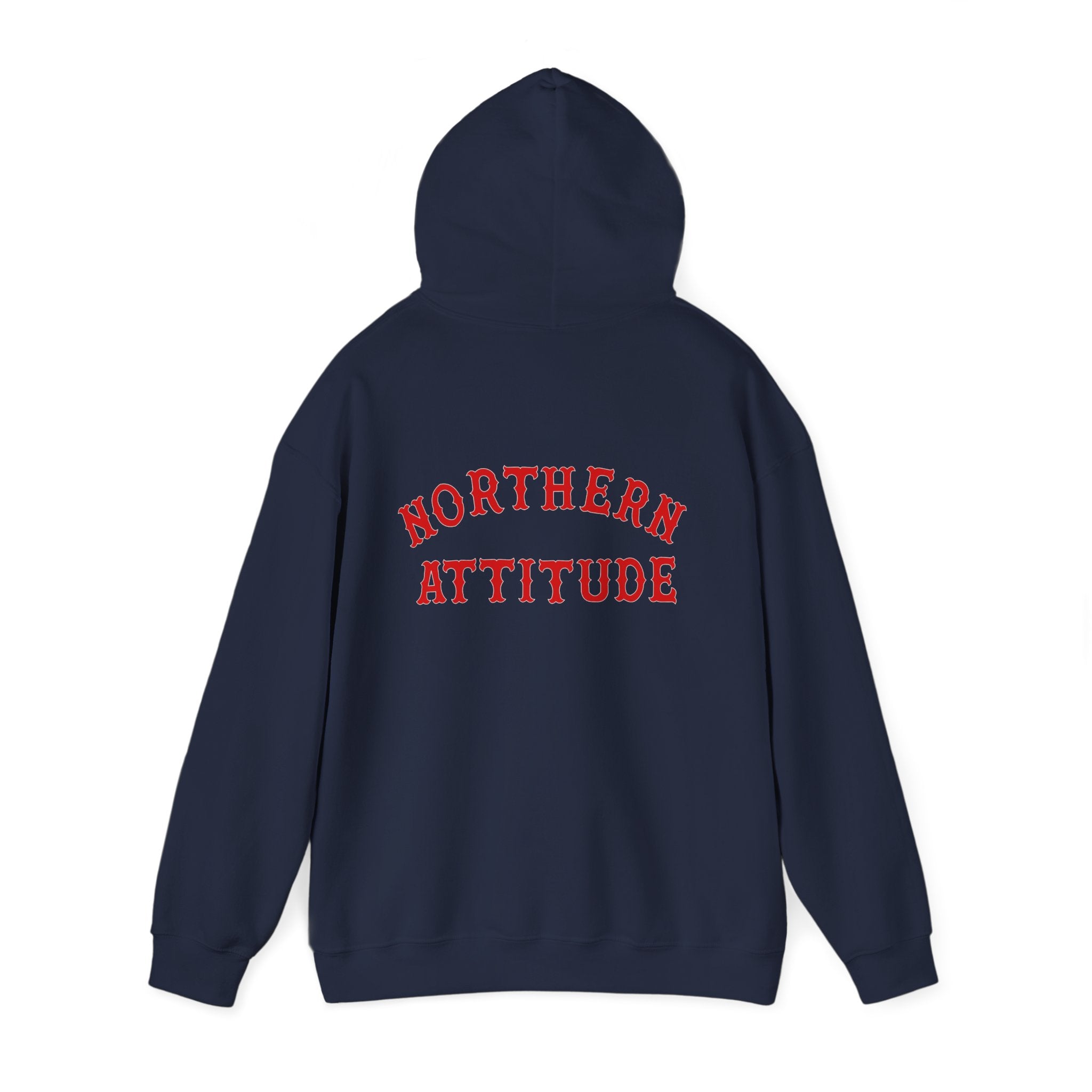 Northern Attitude Fenway New England Funny Humor Double-Sided Adult Hoodie Original Hand Drawn Sweatshirt
