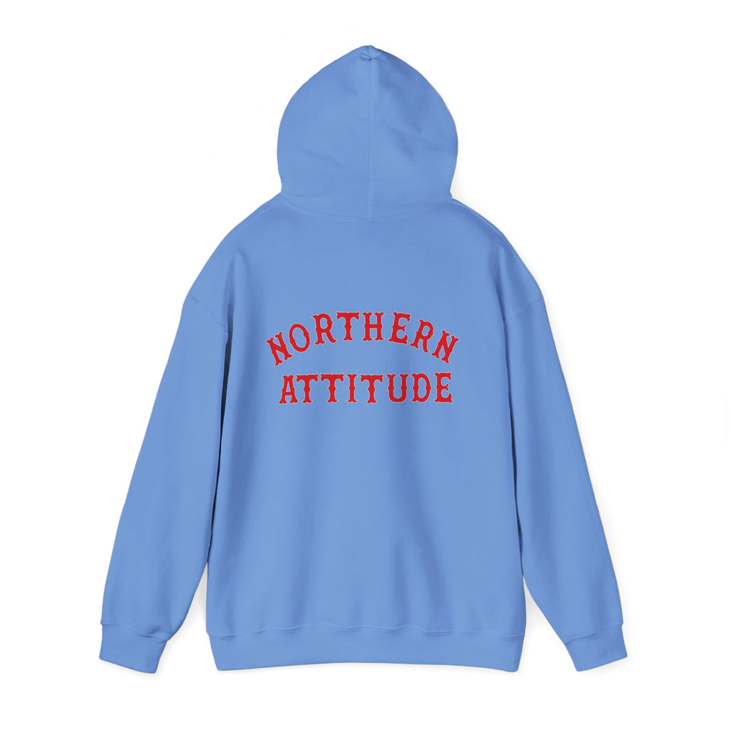Northern Attitude Fenway New England Funny Humor Double-Sided Adult Hoodie Original Hand Drawn Sweatshirt