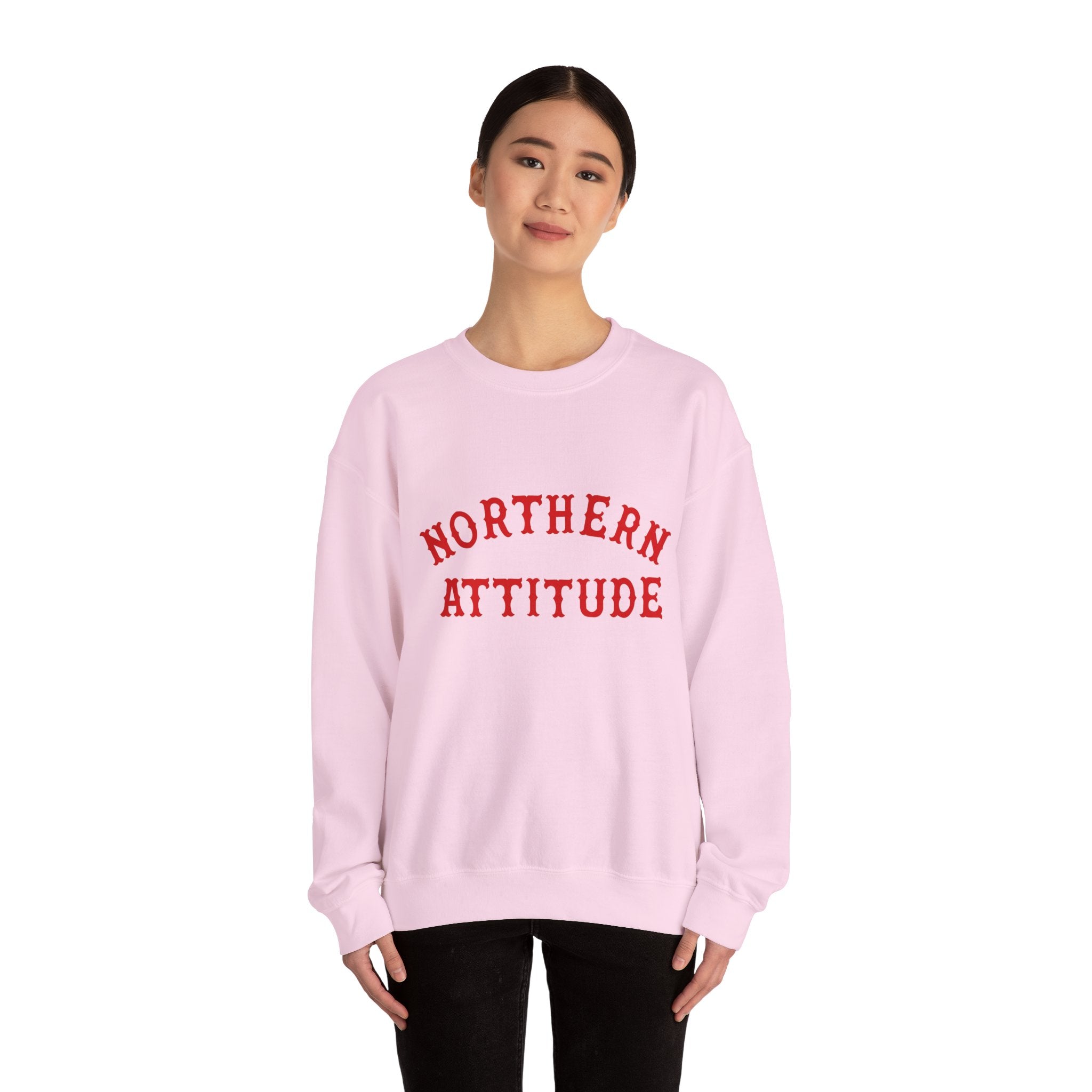 Northerner's Attitude New England Funny Humor Crewneck Original Hand Drawn Sweatshirt