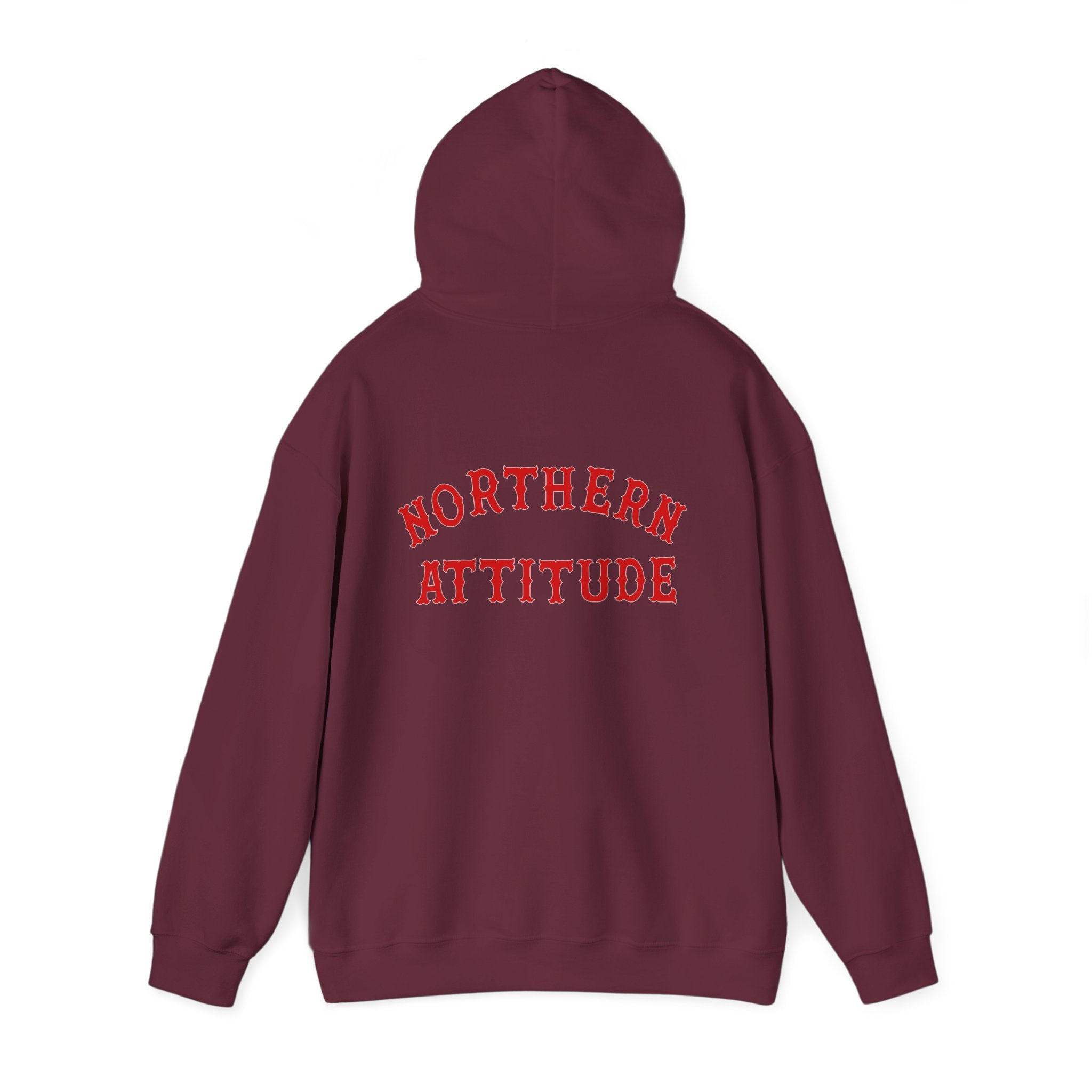 Northern Attitude Fenway New England Funny Humor Double-Sided Adult Hoodie Original Hand Drawn Sweatshirt